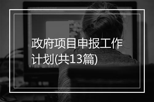 政府项目申报工作计划(共13篇)