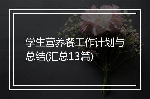 学生营养餐工作计划与总结(汇总13篇)