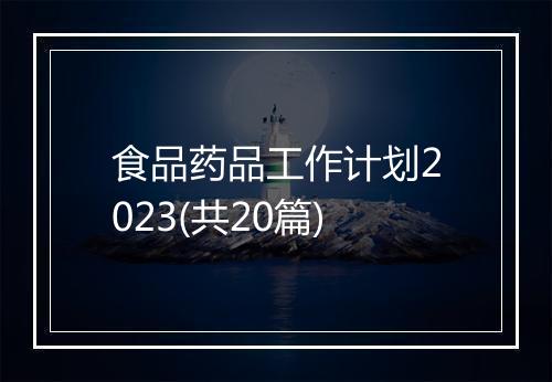 食品药品工作计划2023(共20篇)