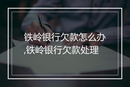 铁岭银行欠款怎么办,铁岭银行欠款处理