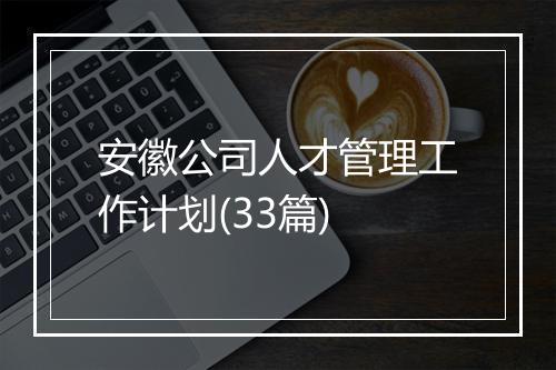 安徽公司人才管理工作计划(33篇)