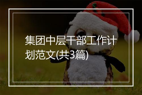 集团中层干部工作计划范文(共3篇)