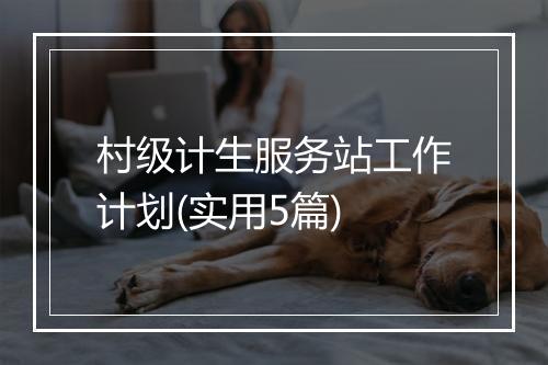 村级计生服务站工作计划(实用5篇)