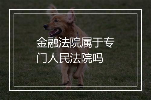 金融法院属于专门人民法院吗