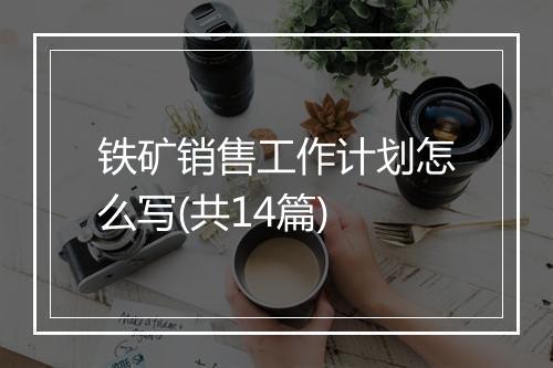 铁矿销售工作计划怎么写(共14篇)