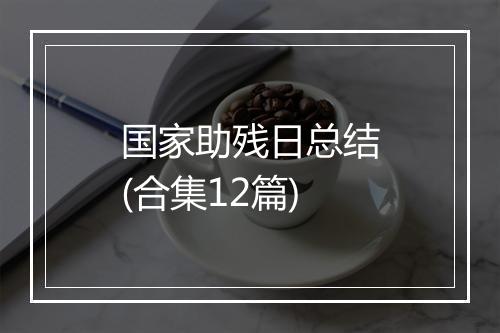 国家助残日总结(合集12篇)