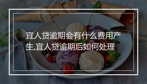 宜人贷逾期会有什么费用产生,宜人贷逾期后如何处理