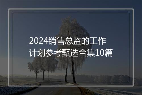 2024销售总监的工作计划参考甄选合集10篇