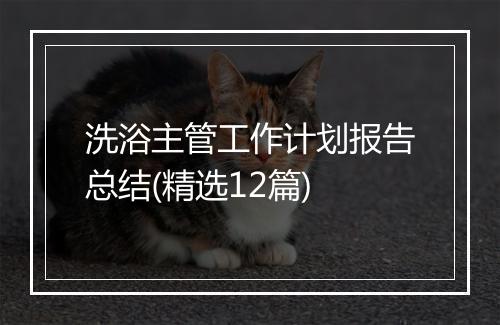 洗浴主管工作计划报告总结(精选12篇)