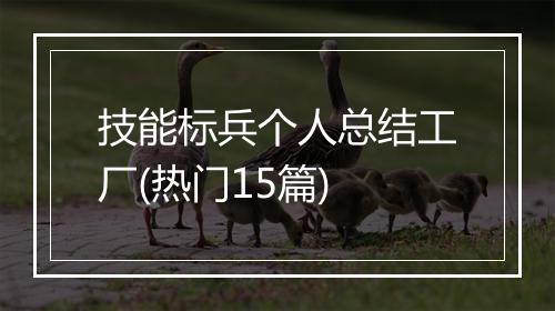 技能标兵个人总结工厂(热门15篇)