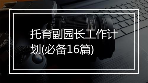 托育副园长工作计划(必备16篇)