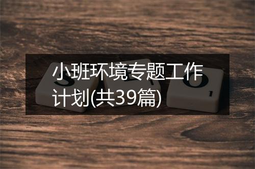 小班环境专题工作计划(共39篇)