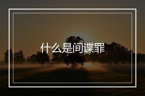 什么是间谍罪