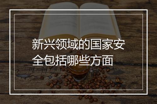 新兴领域的国家安全包括哪些方面