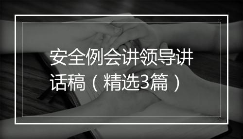 安全例会讲领导讲话稿（精选3篇）