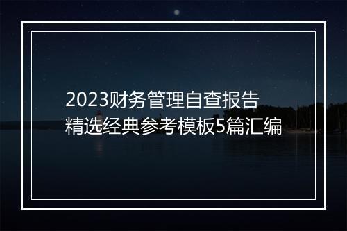 2023财务管理自查报告精选经典参考模板5篇汇编