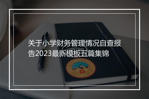关于小学财务管理情况自查报告2023最新模板五篇集锦