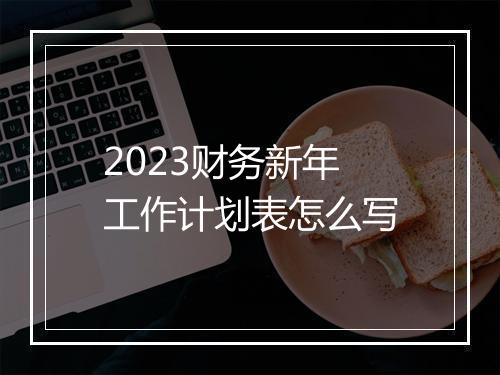 2023财务新年工作计划表怎么写