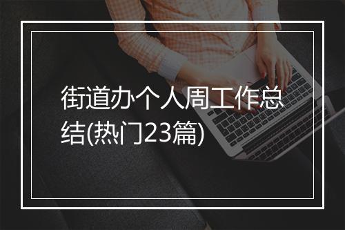 街道办个人周工作总结(热门23篇)