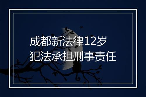 成都新法律12岁犯法承担刑事责任