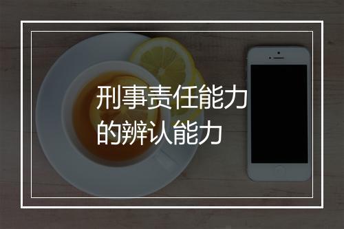 刑事责任能力的辨认能力