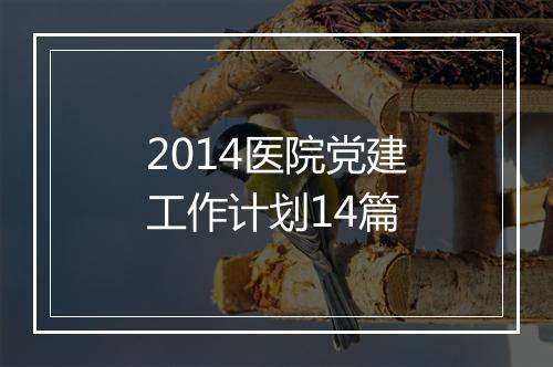 2014医院党建工作计划14篇