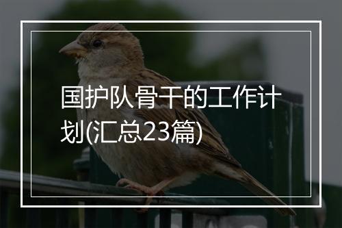 国护队骨干的工作计划(汇总23篇)