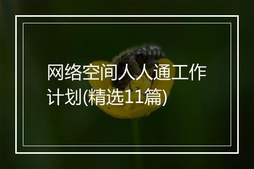 网络空间人人通工作计划(精选11篇)