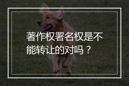 著作权署名权是不能转让的对吗？