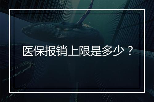 医保报销上限是多少？