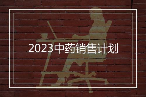 2023中药销售计划