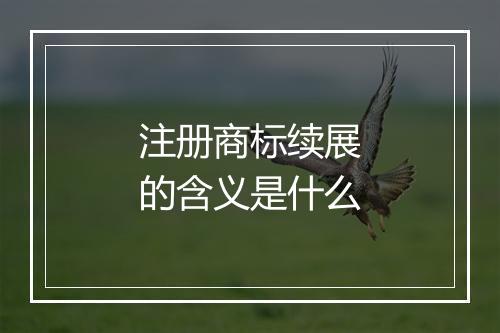 注册商标续展的含义是什么