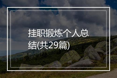挂职锻炼个人总结(共29篇)