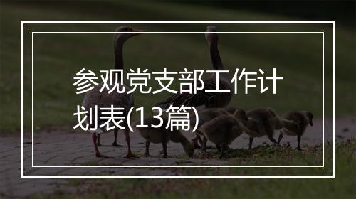 参观党支部工作计划表(13篇)
