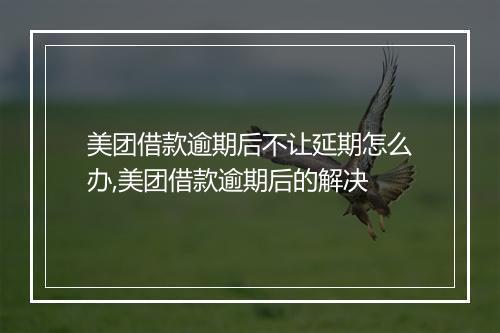 美团借款逾期后不让延期怎么办,美团借款逾期后的解决