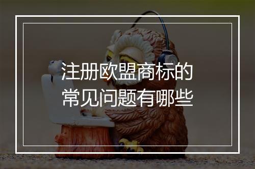 注册欧盟商标的常见问题有哪些
