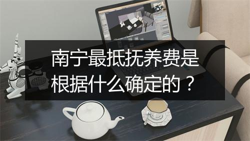 南宁最抵抚养费是根据什么确定的？