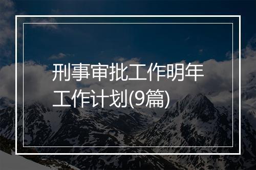 刑事审批工作明年工作计划(9篇)