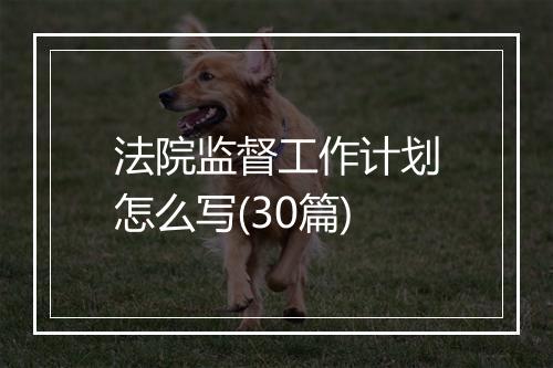 法院监督工作计划怎么写(30篇)