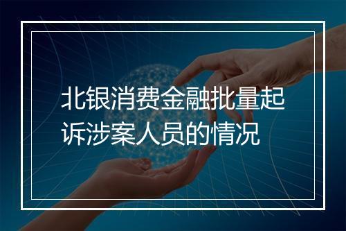 北银消费金融批量起诉涉案人员的情况