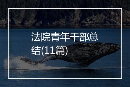 法院青年干部总结(11篇)