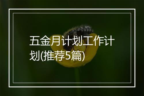 五金月计划工作计划(推荐5篇)