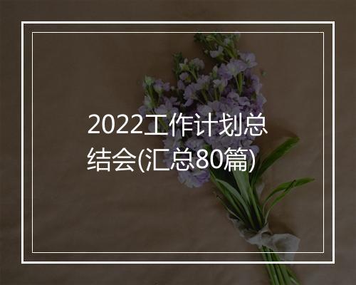 2022工作计划总结会(汇总80篇)