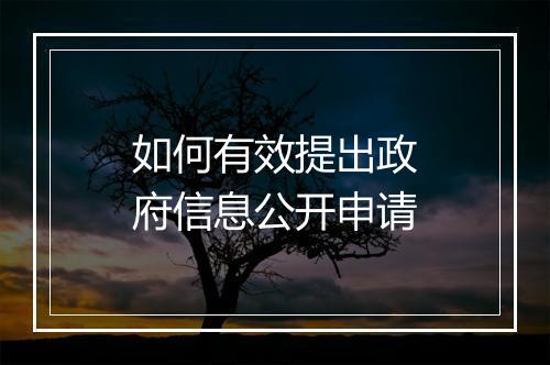 如何有效提出政府信息公开申请