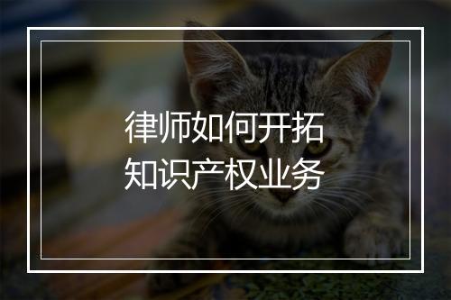律师如何开拓知识产权业务