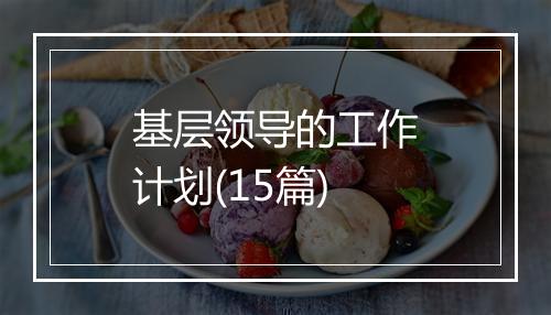 基层领导的工作计划(15篇)