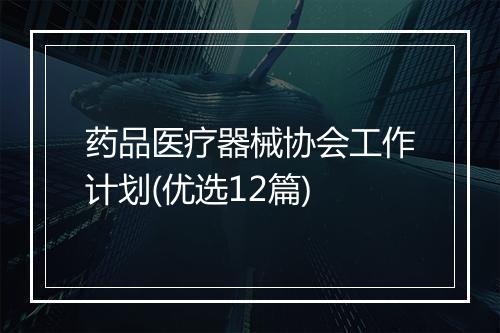 药品医疗器械协会工作计划(优选12篇)