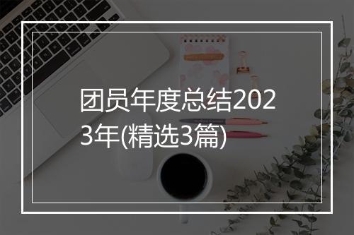 团员年度总结2023年(精选3篇)