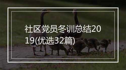 社区党员冬训总结2019(优选32篇)