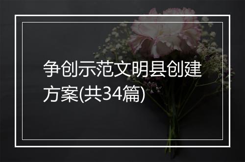 争创示范文明县创建方案(共34篇)